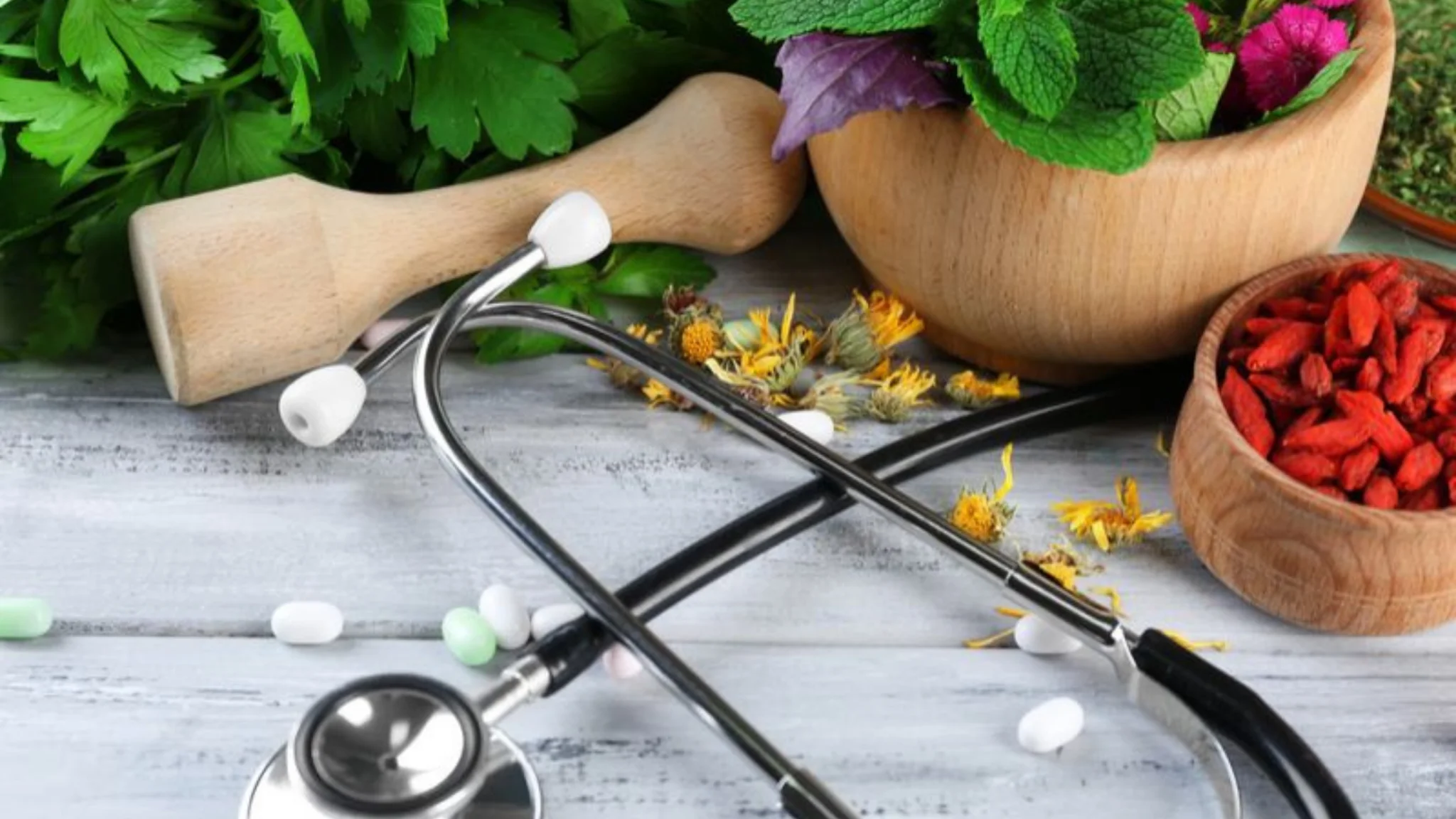 Holistic patient care naturopathy in nagpur
