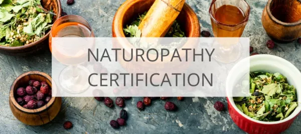Naturopathy doctor qualificatios in nagpur