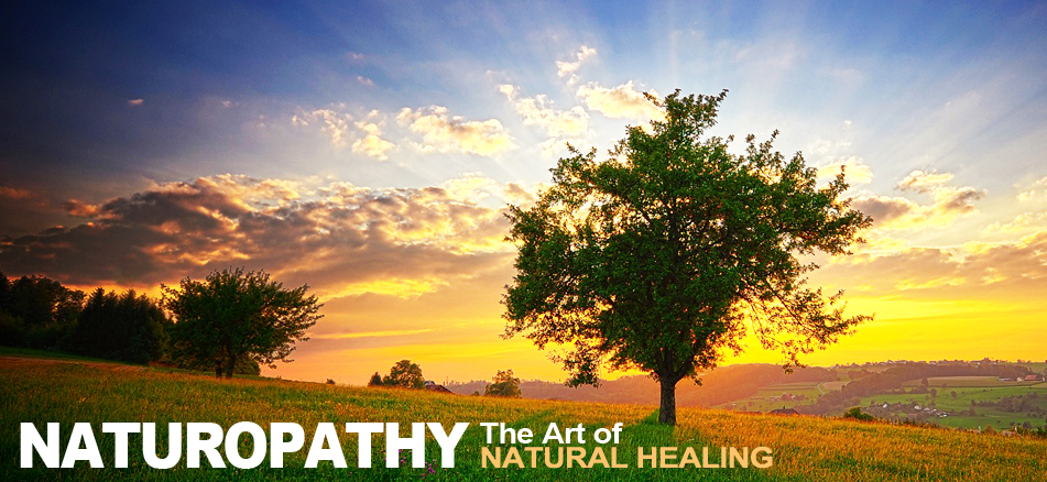 Top naturopathy clinic in maharashtra nagpur