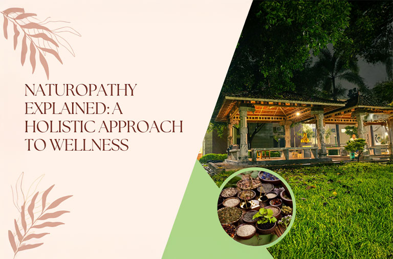 Naturopathy wellness programs in nagpur
